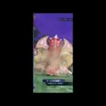 【メギド72】 64VH ベルフェゴール　簡易重奏